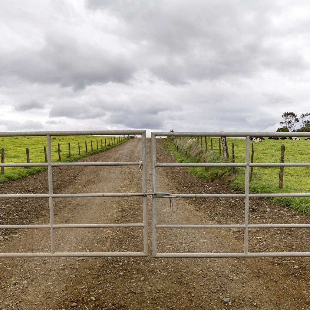 Farm Gate Latch Security Five