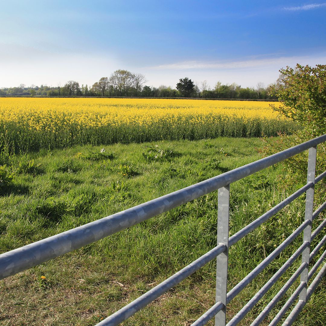 Farm Gate Basics | Security Five