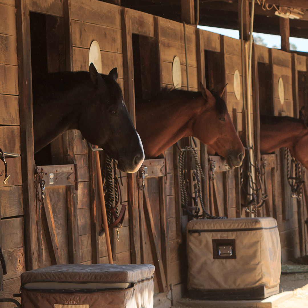 Stable Equine Monitor Security Five